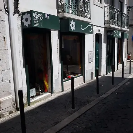 Alfama 23 1 Lägenhet *